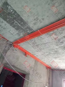 金域阳光