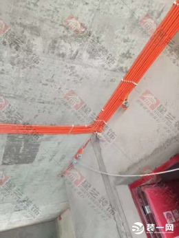 金域阳光